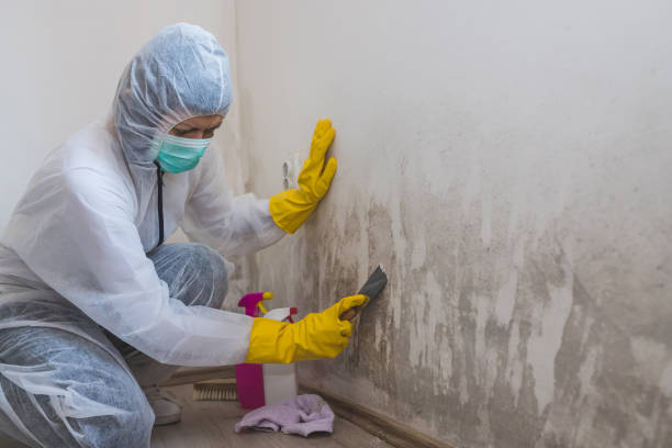 Best Crawl Space Mold Remediation  in King Of Prussia, PA