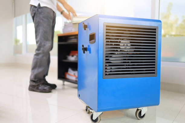 Best Emergency Mold Remediation  in King Of Prussia, PA